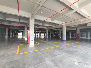 刷新义乌记录，耗时300天 双童智能化新工厂竣工，义乌制造业新地标惊艳呈现