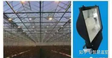 现代智能温室花卉培育中心工程方案与智能楼宇综合布线对接实践